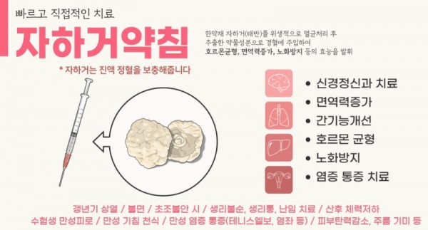 약침종류2_자하거약침(태반).jpg